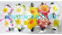 Multi Color Hair Slide